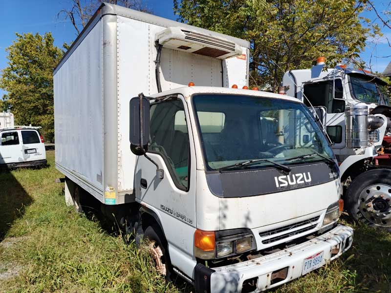 Isuzu